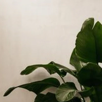 Host в Коломне улица Октябрьской революции, 326