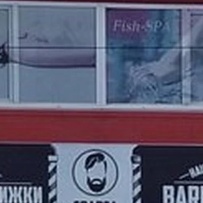 Sparta в Новосибирске Лазурная, 27/2