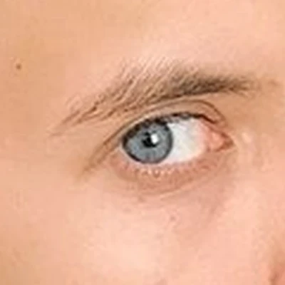 Стриж в Ростове-на-дону улица Максима Горького, 153