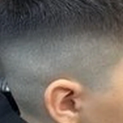 Лион в Петропавловске-камчатском проспект Победы, 57/1