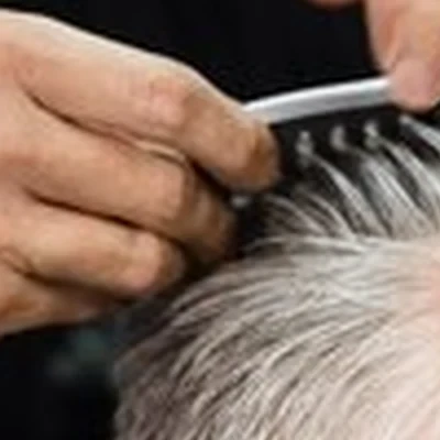 The Cut
