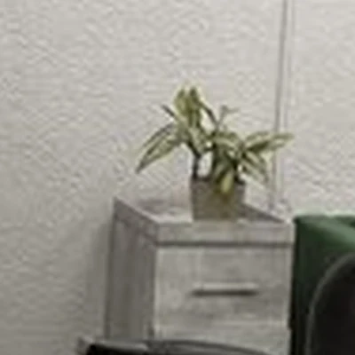 Свои #на месте