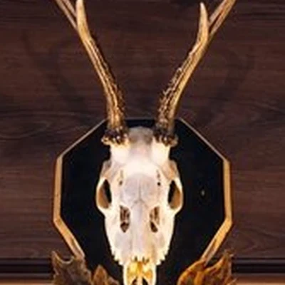 OldBoy в Тюмени улица Мельникайте, 102