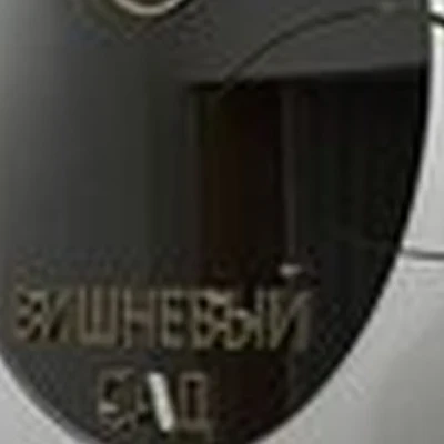 Вишневый сад в Казани Карла Фукса, 10