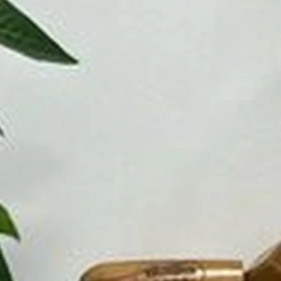 Твой скульптор