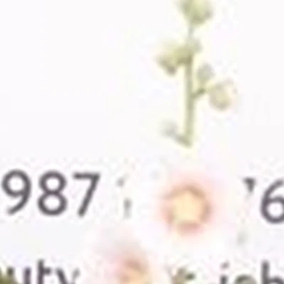 Дом Эстетики в Ишимбае Уральская, 62