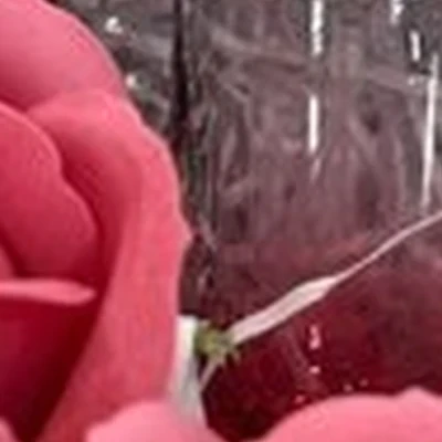 Savat в Абакане Торговая улица, 3