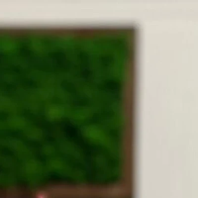 BLISS в Рязани Россия, Рязань, улица Свободы, 43, 1 этаж