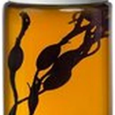 Архангельские водоросли