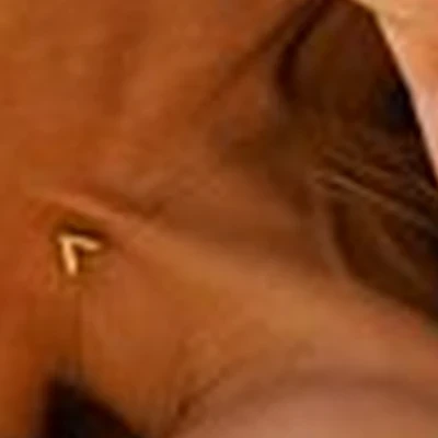&
