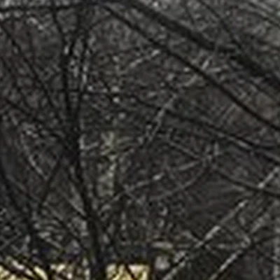 Amway в Бийске Коммунарский переулок, 16/1