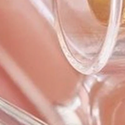 Avon в Бийске Максима и Николая Казанцевых улица, 58