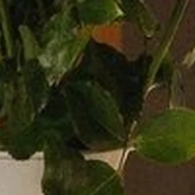 Oriflame в Белокурихе Советская, 3