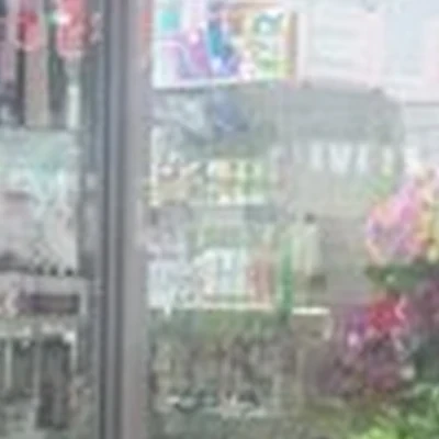 Камелия в Бийске Коммунарский переулок, 18