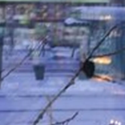 Siberian wellness в Братске улица Мира, 42