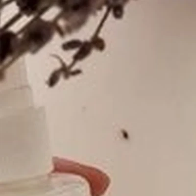 Женский рай