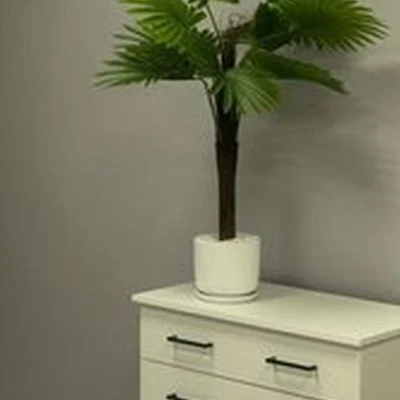 Body dream в Воронеже Средне-Московская улица, 7