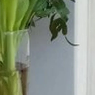 Antler в Екатеринбурге улица Бажова, 134