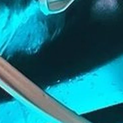 2Mi в Ноябрьске Холмогорская улица, 1/62