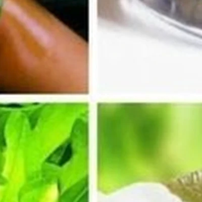 Samsara в Ангарске Мира, 32/1