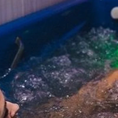 Cronwell Park Ника