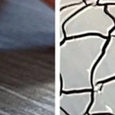 21 в Пионерском Донская улица, 1а