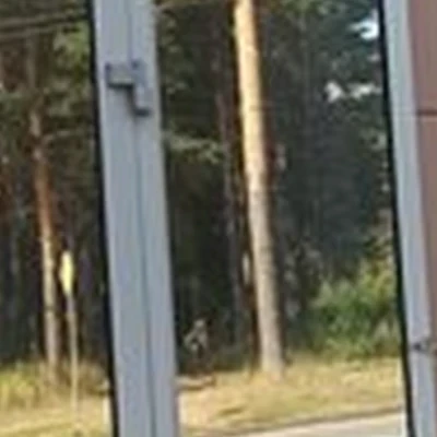 Estetic Club в Екатеринбурге Алтайская улица, 62