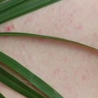 Alma Mater в Москве Ходынский бульвар, 20а