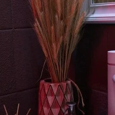 Beauty Sfera Lash and Brow