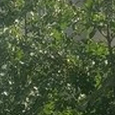 Beauty body в Новосибирске Семьи Шамшиных, 18/1