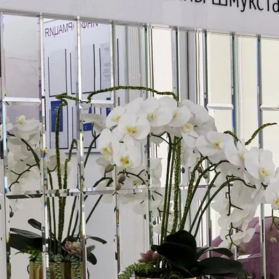 Студия эпиляции CANDELA Татьяны Шмукста
