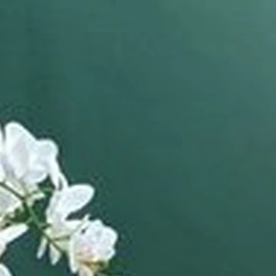 Laser Love в Пскове Красноармейская улица, 2а