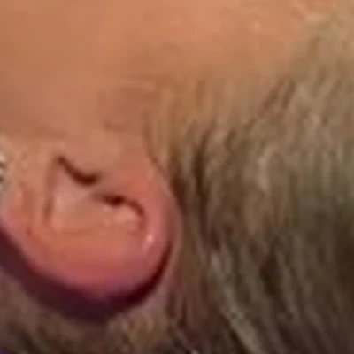 Дыхание природы