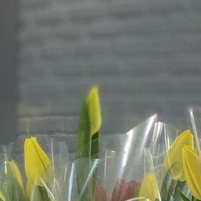 AniBrows в Великий новгороде Новгородская область, Великий Новгород, Большая Московская улица, 61 к1