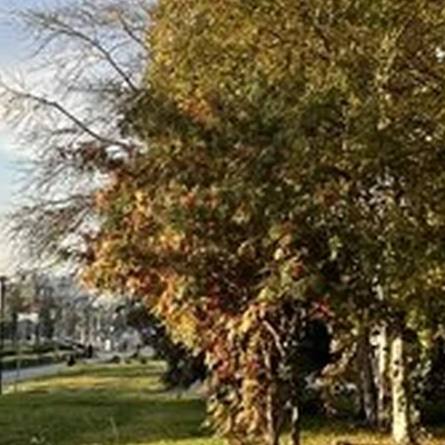 Мечта Бьюти в Южно-сахалинске проспект Мира, 265