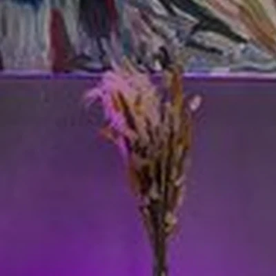 BarberPro в Тюмени улица Мельникайте, 100а