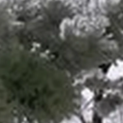 Барбершоп в Омске Транссибирская улица, 6 к1