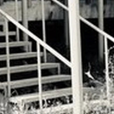 Barbershop mr. Dapper