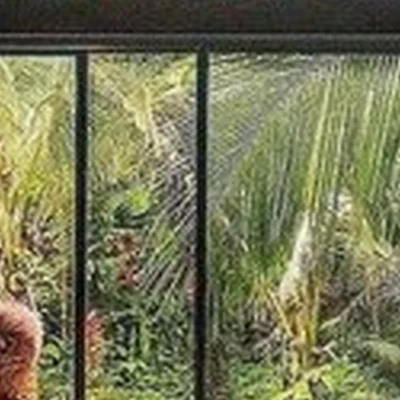 by-cosmetics в Красноярске улица Авиаторов, 29