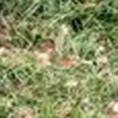 Amway в Советская гавани улица Гончарова, 6