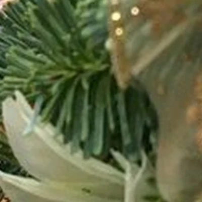 Avon в Балтийске улица Гоголя, 2а