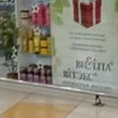 Bielita Biтэкс