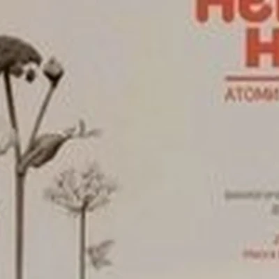 Atomy в Сыктывкаре улица Мира, 18/1