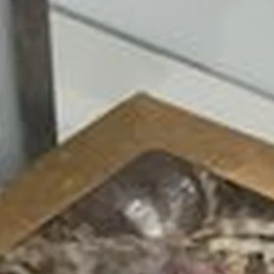 Будь собой в Владивостоке улица Крыгина, 15а