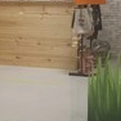 Ежевичка