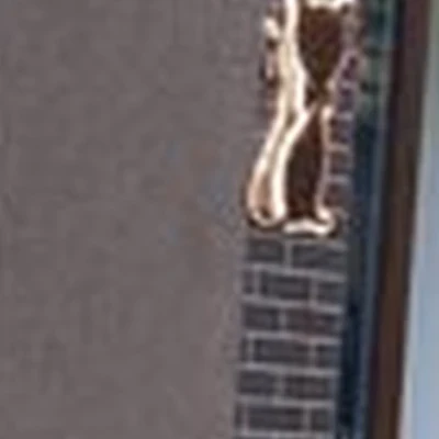 Янтарный дом