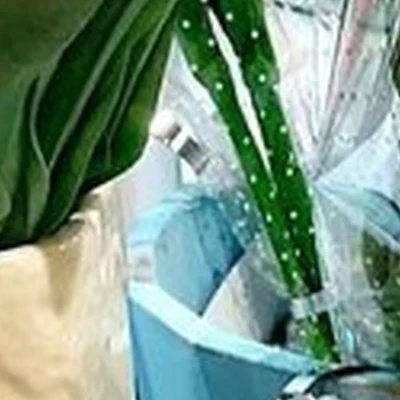 Soap Magic в Рязани Первомайский проспект, 70 к1