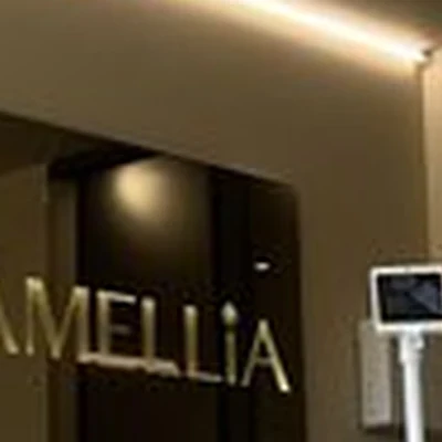 Camellia в Нижний новгороде Лысогорская улица, 89 к3