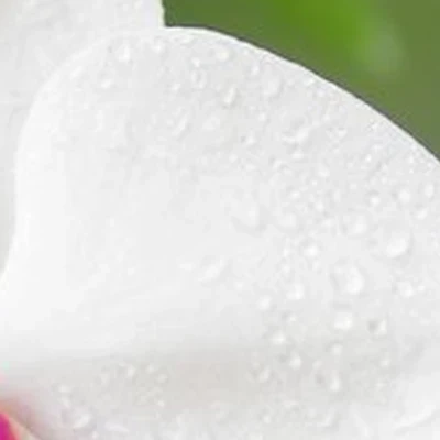 A.Kula в Минусинске улица Тимирязева, 19