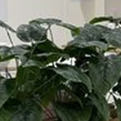 InStyle в Абакане улица Лермонтова, 29